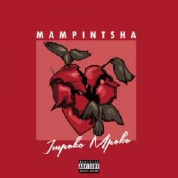 Mampintsha - Impoko Mpoko